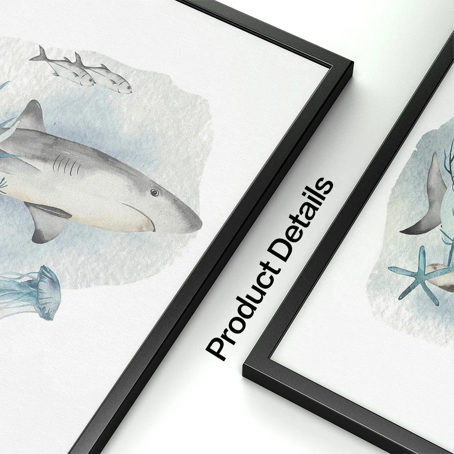 Posters And Prints Whale Fish  - Baby Nursery Animal Pictures review and price